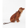 Laisse pour chien Barbour