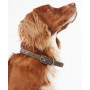 Collier pour chien tartan Barbour