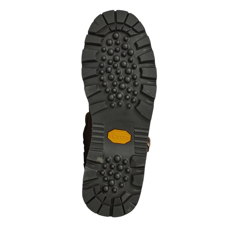Laarzen Visent 2.0 GTX Härkila