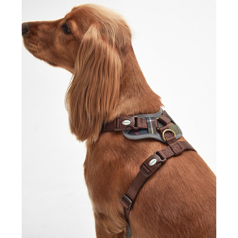 Harnais pour chien rembourré Barbour