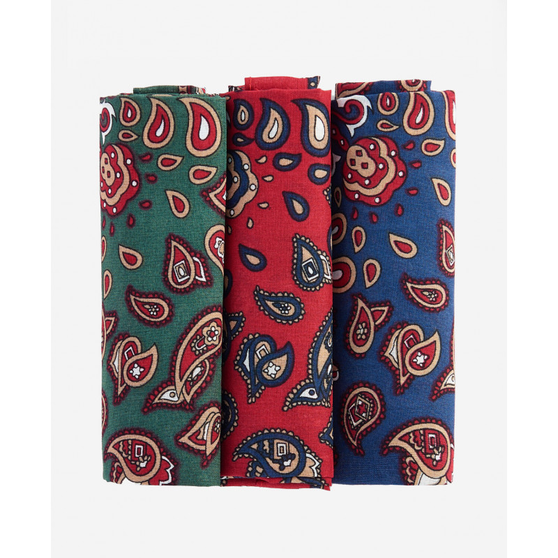 Pochettes/mouchoirs de costume Paisley Barbour