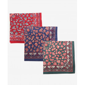 Pochettes/mouchoirs de costume Paisley Barbour