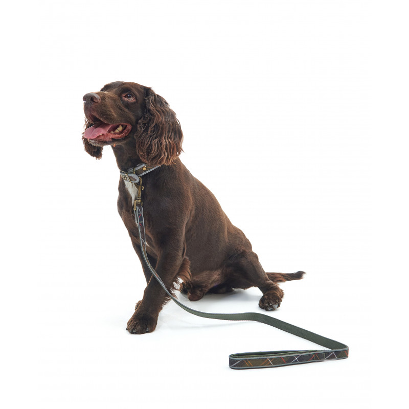 Laisse pour chien Réfléchissante Tartan Confort Barbour